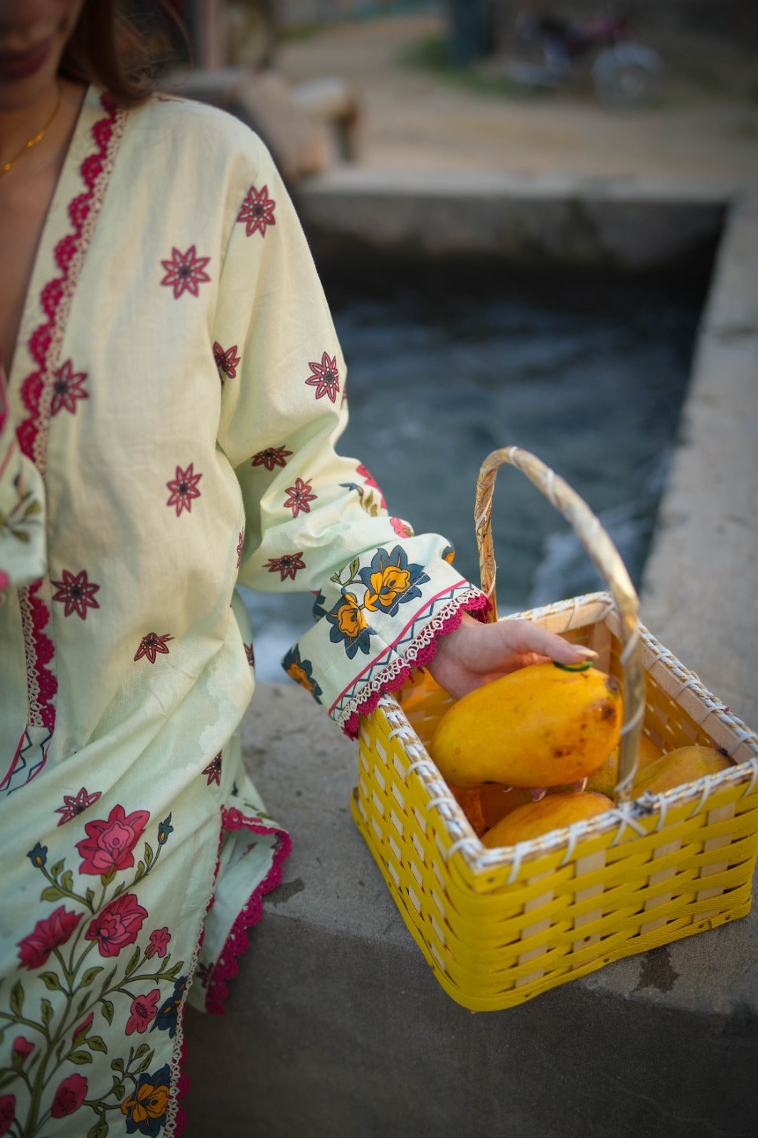 Lawn Printed Suit