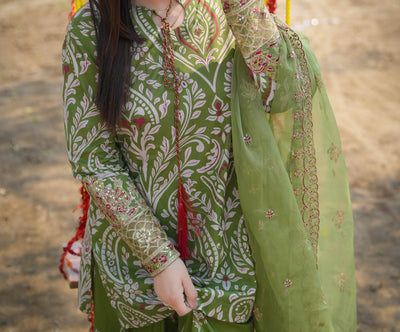 Lawn Printed Suit