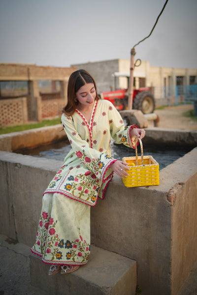 Lawn Printed Suit