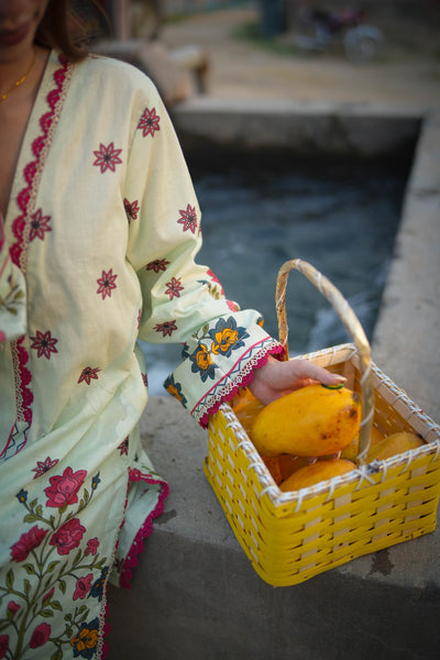 Lawn Printed Suit
