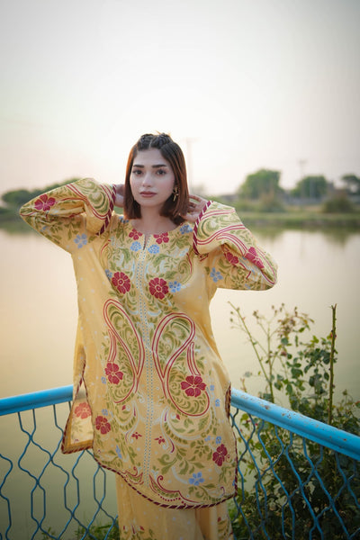 Lawn Printed Suit
