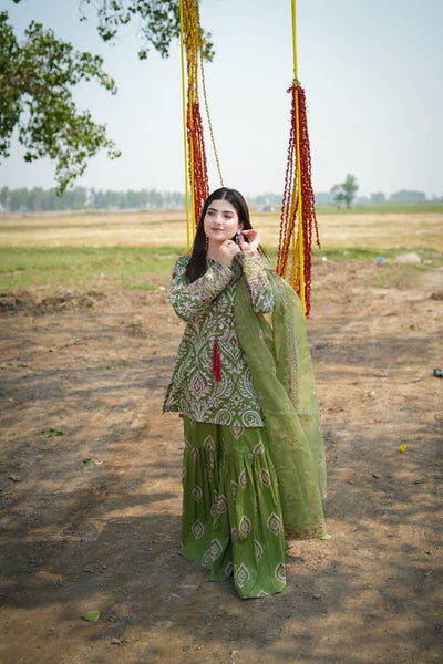 Lawn Printed Suit